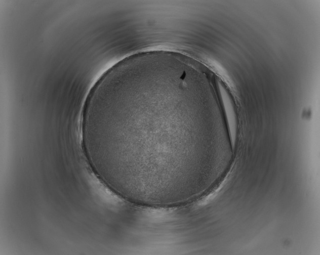 X0000091510892200708171153
