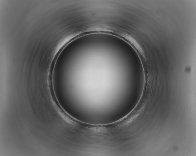 X0000091510893200708171153