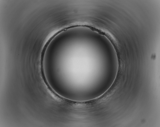 X0000091510894200708171153