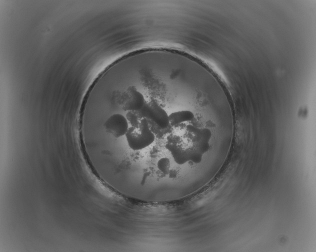 X0000091510895200708171153