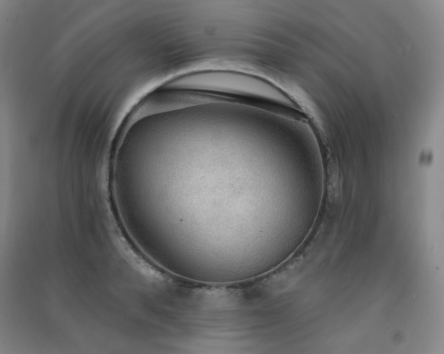 X0000091510896200708171153