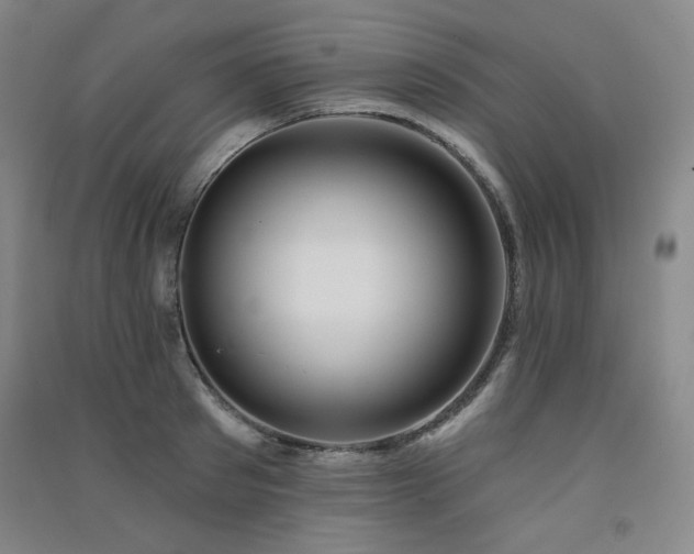 X0000091510897200708171153