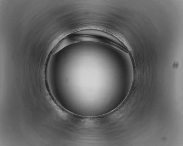 X0000091510898200708171153