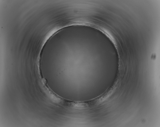 X0000091510899200708171153