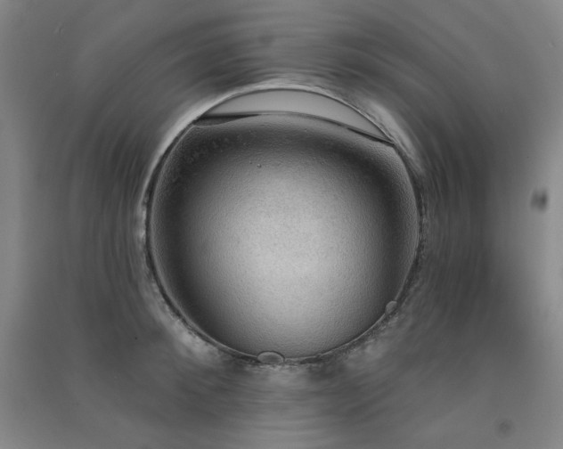 X0000091510900200708171153