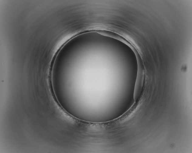 X0000091510901200708171153
