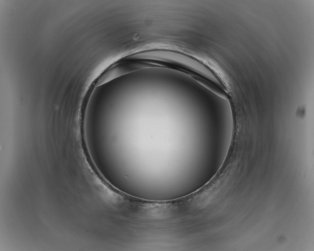 X0000091510902200708171153