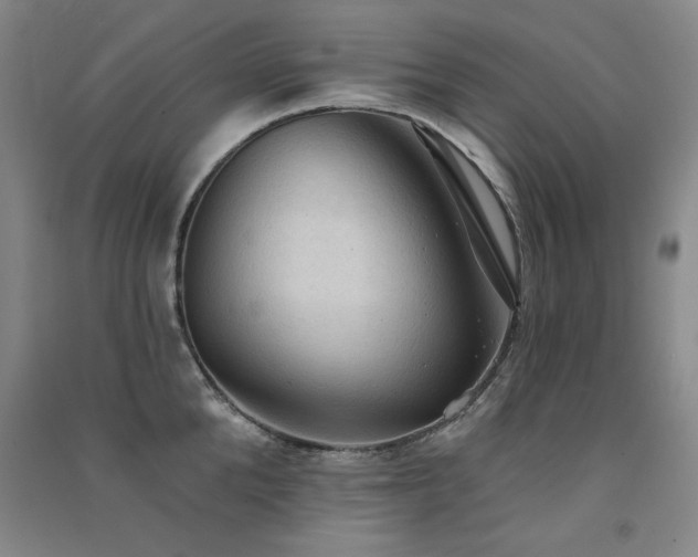 X0000091510904200708171153
