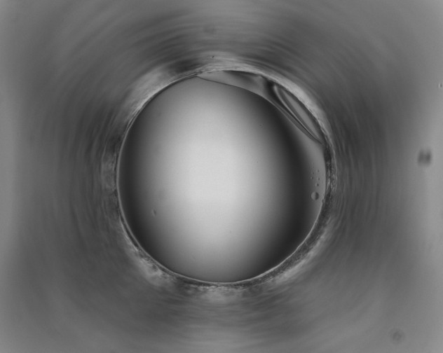 X0000091510905200708171153