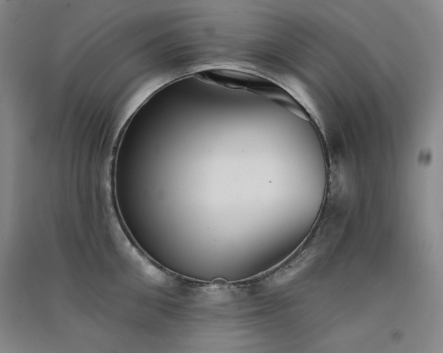 X0000091510906200708171153
