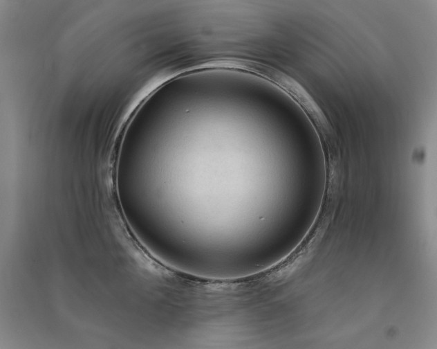 X0000091510908200708171153