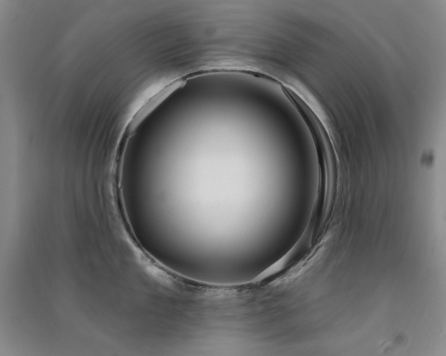 X0000091510909200708171153