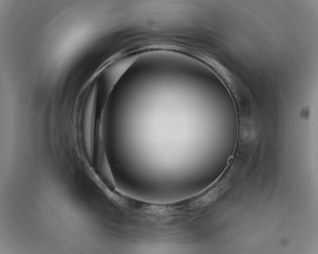 X0000091510910200708171153