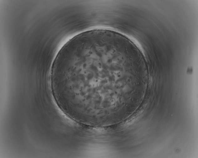 X0000091510911200708171153
