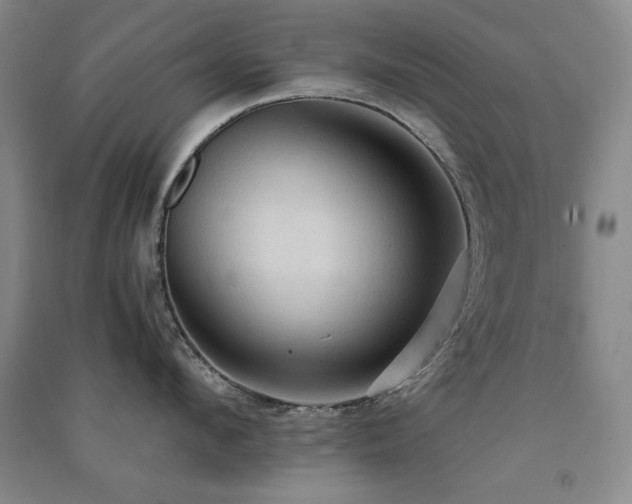 X0000091510912200708171153