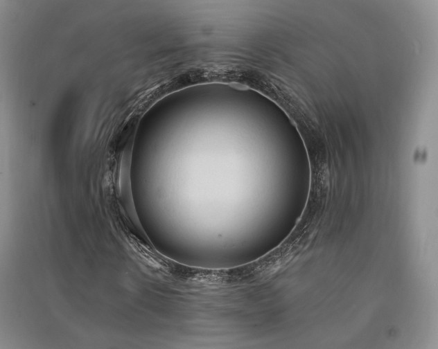 X0000091510914200708171152