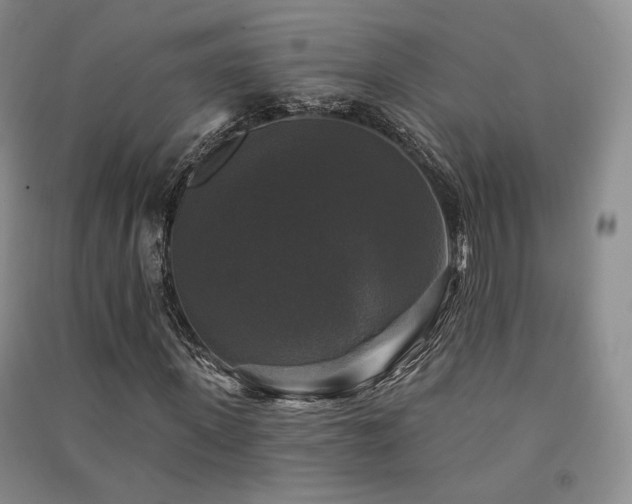 X0000091510915200708171152