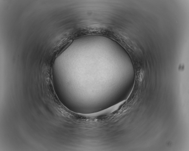 X0000091510916200708171152