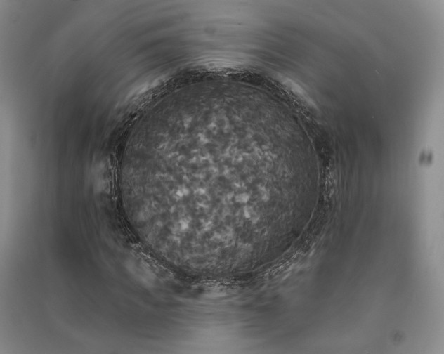 X0000091510917200708171152