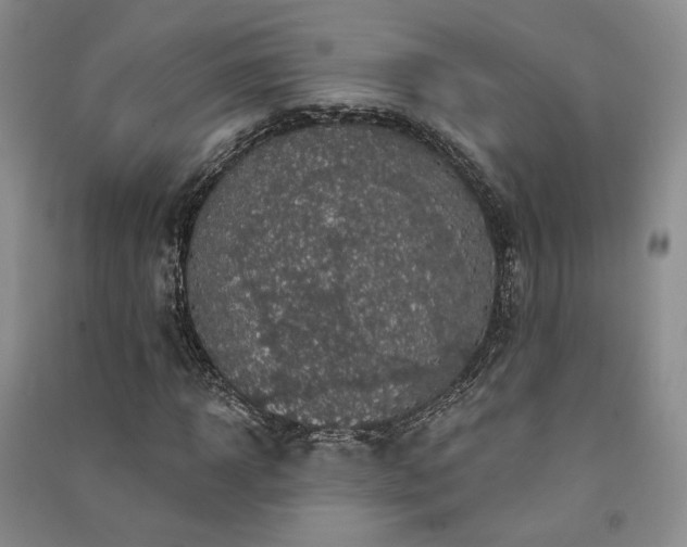 X0000091510918200708171152