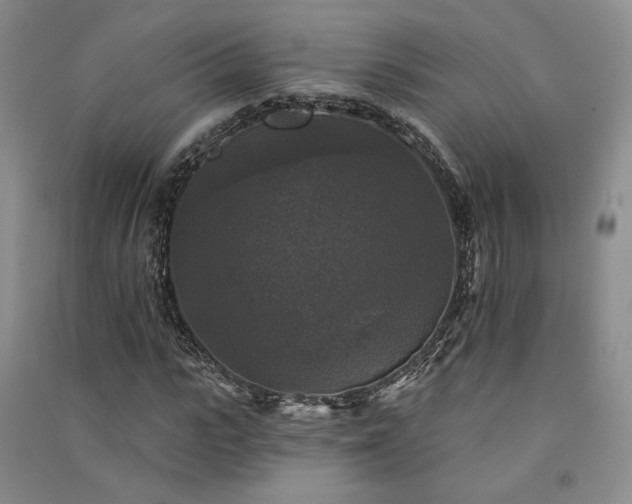 X0000091510919200708171152