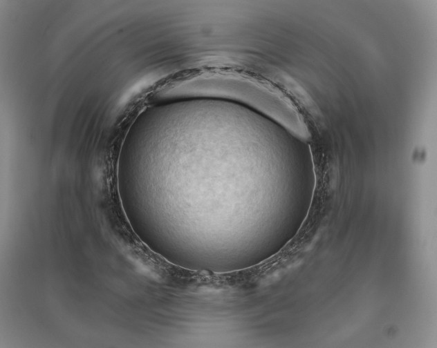 X0000091510920200708171152