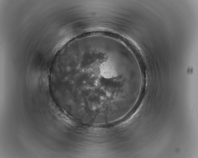 X0000091510921200708171152