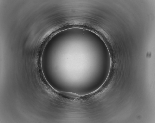 X0000091510922200708171152