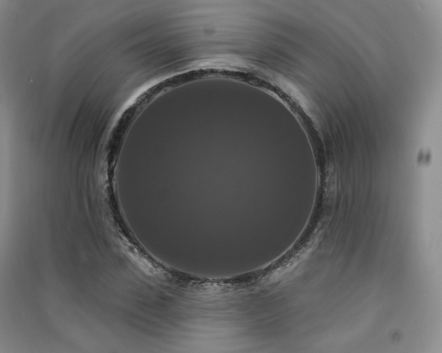X0000091510923200708171152