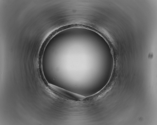 X0000091510924200708171152