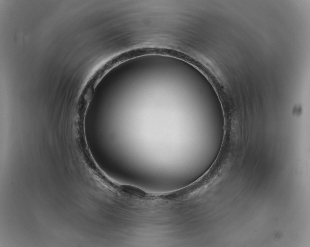 X0000091510926200708171152