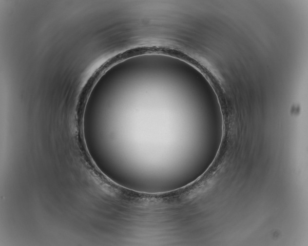 X0000091510927200708171152