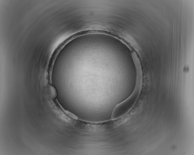 X0000091510928200708171152