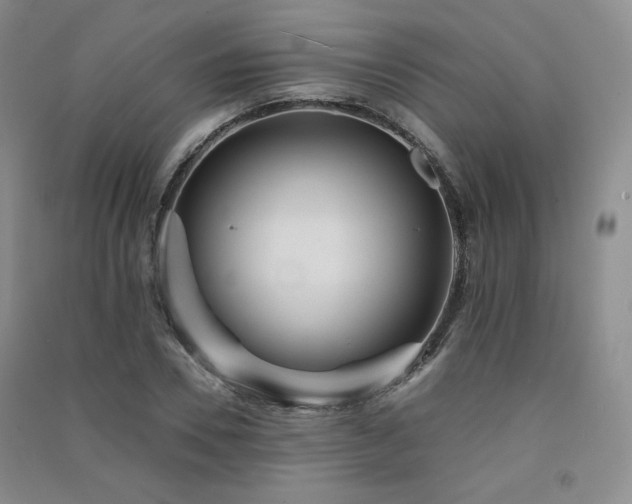 X0000091510930200708171153