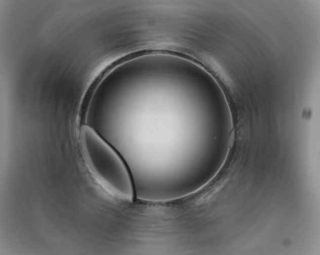 X0000091510932200708171153