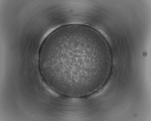 X0000091510933200708171153