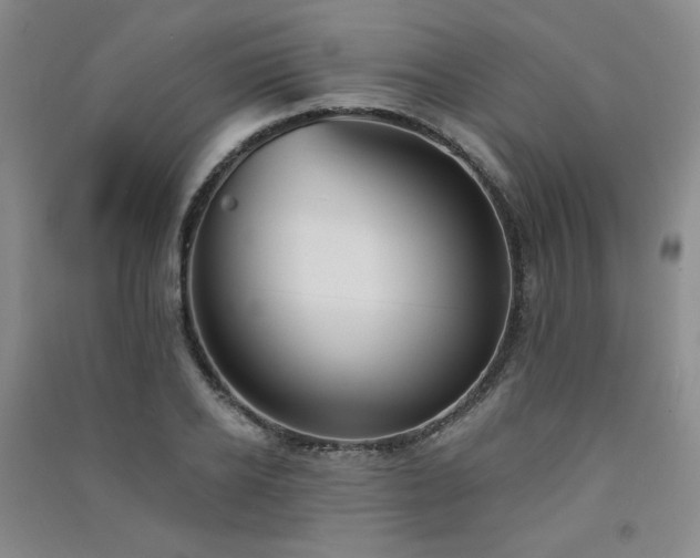X0000091510934200708171153
