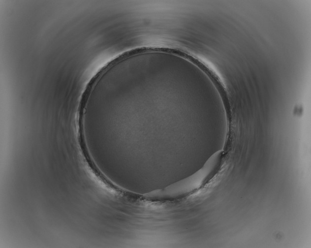 X0000091510935200708171153