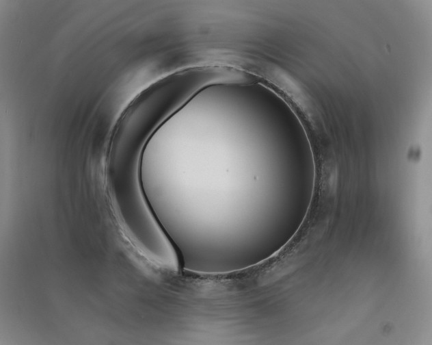 X0000091510936200708171153