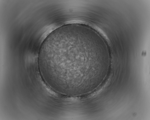 X0000091510937200708171153