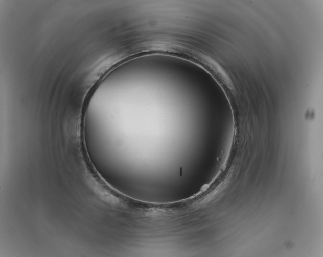 X0000091510938200708171153