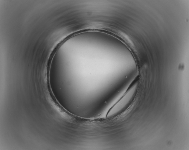 X0000091510939200708171153