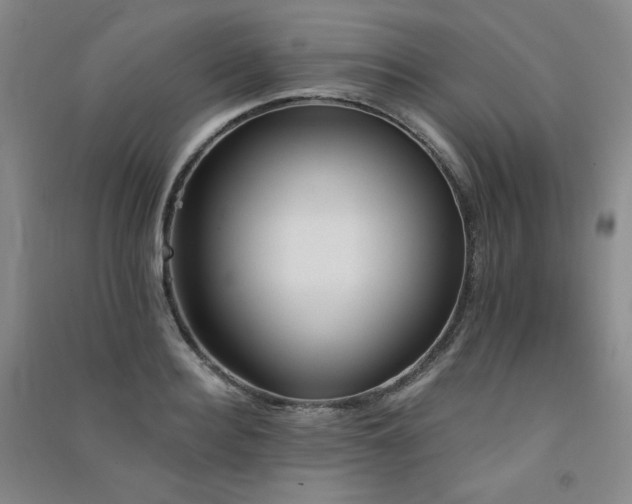 X0000091510940200708171153