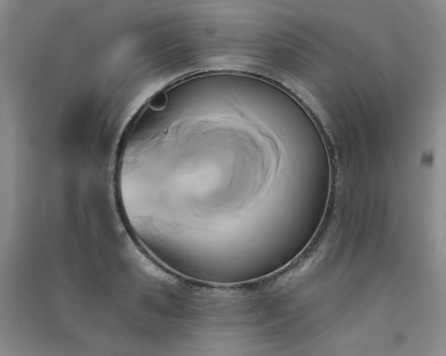 X0000091510941200708171153