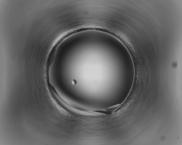 X0000091510942200708171153