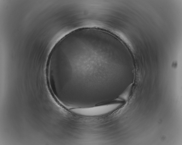 X0000091510943200708171153