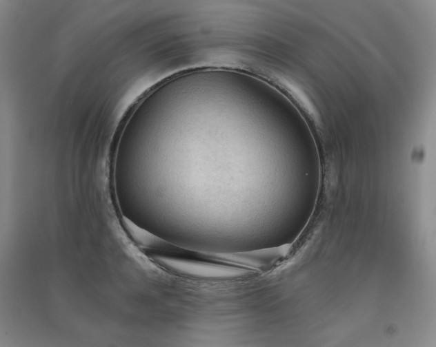 X0000091510944200708171153