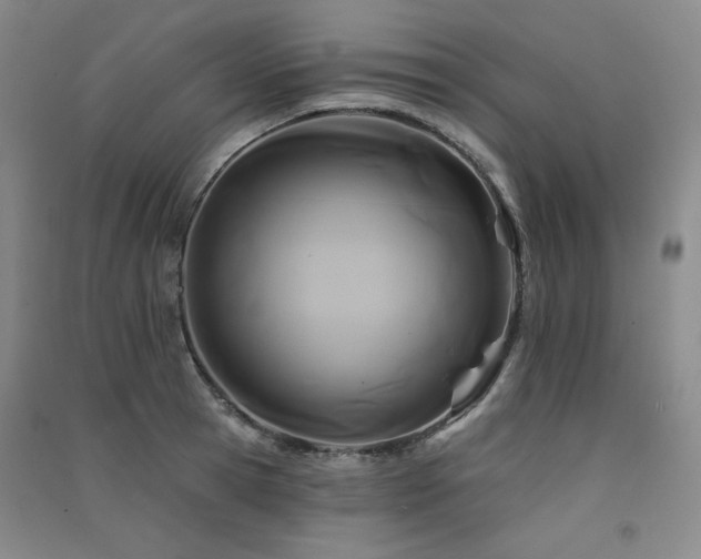 X0000091510945200708171153