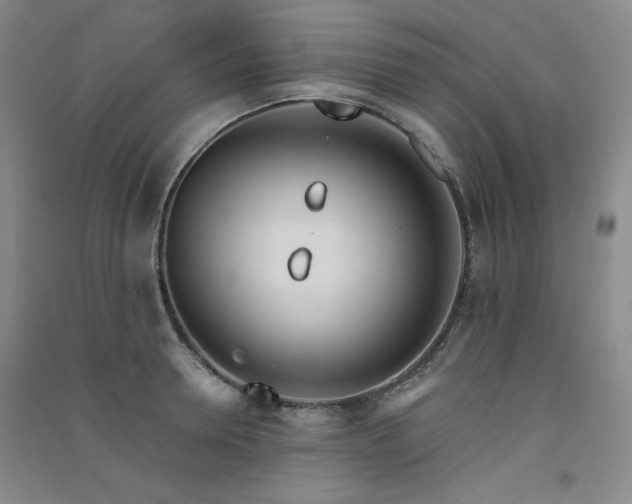 X0000091510946200708171153