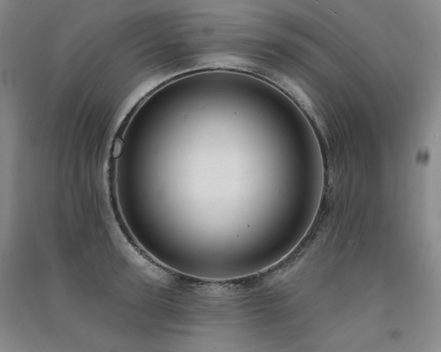 X0000091510947200708171153
